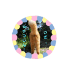きなこ☆こむぎ（個別スタンプ：20）