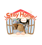 きなこ☆こむぎ（個別スタンプ：27）