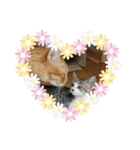 きなこ☆こむぎ（個別スタンプ：32）
