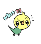 インコのちくわとつみれ（個別スタンプ：24）