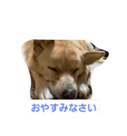 あいさつしちゃうメルたん（個別スタンプ：2）
