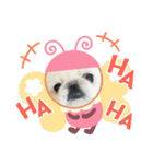 ホワイトペキニーズのらんちゃん（個別スタンプ：14）