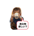きらゆまおうが（個別スタンプ：26）