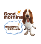 - もぉのスタンプだよん -（個別スタンプ：5）