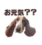 - もぉのスタンプだよん -（個別スタンプ：7）