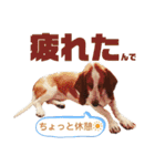 - もぉのスタンプだよん -（個別スタンプ：8）