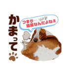 - もぉのスタンプだよん -（個別スタンプ：12）