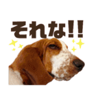 - もぉのスタンプだよん -（個別スタンプ：13）
