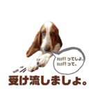 - もぉのスタンプだよん -（個別スタンプ：20）