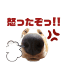 - もぉのスタンプだよん -（個別スタンプ：22）