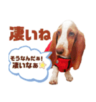 - もぉのスタンプだよん -（個別スタンプ：25）