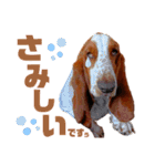 - もぉのスタンプだよん -（個別スタンプ：36）