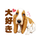 - もぉのスタンプだよん -（個別スタンプ：37）