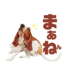 - もぉのスタンプだよん -（個別スタンプ：38）