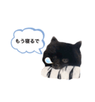 黒ポメ☆日常（個別スタンプ：5）