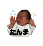 はるひ丸 0歳（個別スタンプ：27）