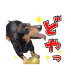 ダイくんのスタンプ（個別スタンプ：1）