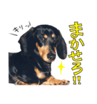 ダイくんのスタンプ（個別スタンプ：7）