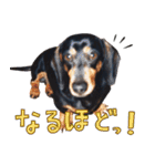 ダイくんのスタンプ（個別スタンプ：10）