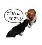 ダイくんのスタンプ（個別スタンプ：23）