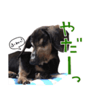 ダイくんのスタンプ（個別スタンプ：26）