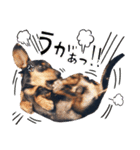 ダイくんのスタンプ（個別スタンプ：27）