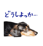 ダイくんのスタンプ（個別スタンプ：29）