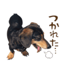 ダイくんのスタンプ（個別スタンプ：31）