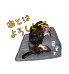 ダイくんのスタンプ（個別スタンプ：33）