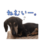 ダイくんのスタンプ（個別スタンプ：38）