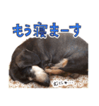 ダイくんのスタンプ（個別スタンプ：39）