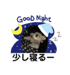 トイプードルとシーズー？2（個別スタンプ：24）