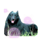 黒犬さん，英語をしゃべる．（個別スタンプ：3）