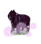 黒犬さん，英語をしゃべる．（個別スタンプ：4）