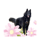 黒犬さん，英語をしゃべる．（個別スタンプ：5）
