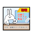 てきとうウサギ5【ニュース風メッセージ】（個別スタンプ：3）