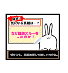 てきとうウサギ5【ニュース風メッセージ】（個別スタンプ：13）
