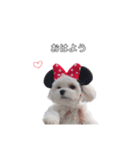 ももぴすたんぷ（1）（個別スタンプ：2）
