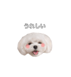 ももぴすたんぷ（1）（個別スタンプ：4）