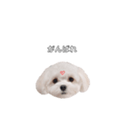 ももぴすたんぷ（1）（個別スタンプ：8）