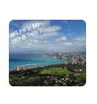 -My Hawaii, Your Hawaii, and Our Hawaii-（個別スタンプ：25）