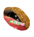 ♡愛犬のチワワ♡（個別スタンプ：7）
