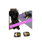 愛犬癒し（個別スタンプ：5）