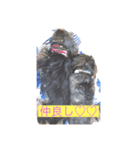 愛犬癒し（個別スタンプ：8）