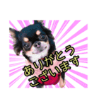 お仕事ジップ（個別スタンプ：1）
