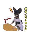 お仕事ジップ（個別スタンプ：3）