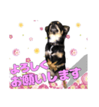 お仕事ジップ（個別スタンプ：4）