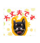 お仕事ジップ（個別スタンプ：5）