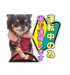 お仕事ジップ（個別スタンプ：7）