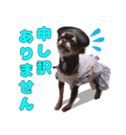 お仕事ジップ（個別スタンプ：8）